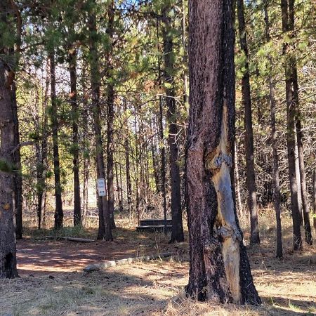 Diamondstone Guest Lodges La Pine Buitenkant foto